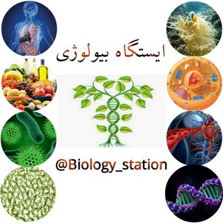 Логотип biology_station