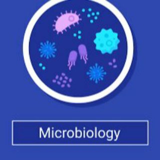 Логотип канала microbiologycourses