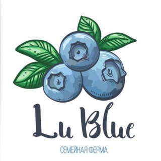 Логотип канала lu_blue_berry