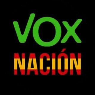 Логотип voxnacion