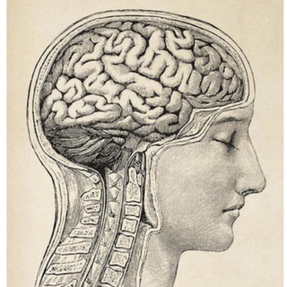 Логотип канала psychodynamicsystem