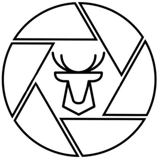 Логотип канала hunterspic