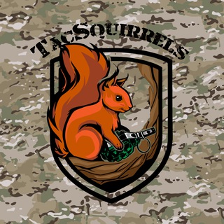 Логотип канала tac_squirrels