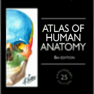 Логотип канала anatomy_books