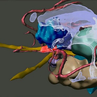 Логотип канала neuro3d