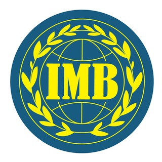 Логотип канала imb_iir