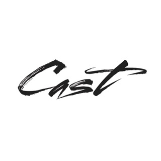 Логотип castkzagency