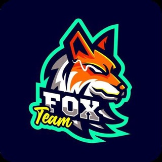 Логотип канала teamfox_oficial