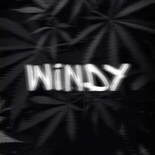 Логотип канала windy_boys