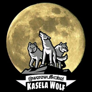 Логотип канала werewuffkalsel