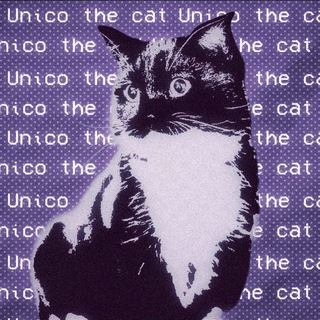 Логотип канала unico_cat