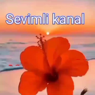 Логотип kanal_55555