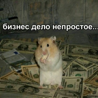 Логотип канала hamsters_about_business