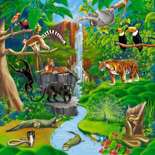 Логотип junglesworld