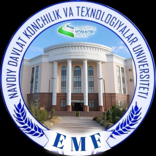 Логотип emf_yi