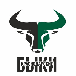 Логотип krd_bulls