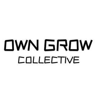 Логотип канала growerschool