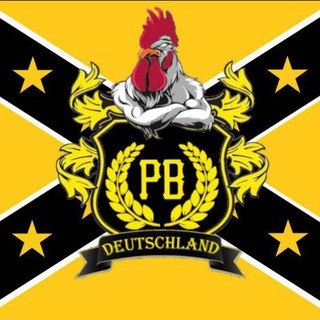 Логотип канала proudboysdeutschland_v2