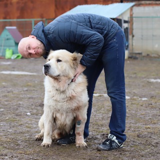 Логотип канала zhukovskypavel