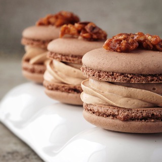 Логотип saliti_macarons