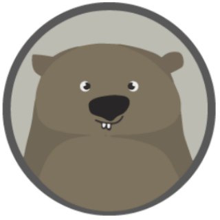 Логотип канала runwombat