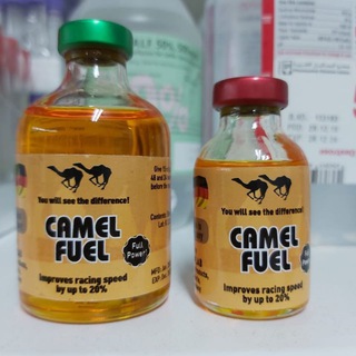 Логотип канала horseandcamelvetmeds