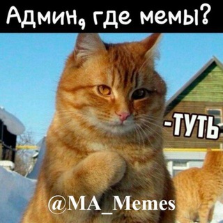 Логотип канала ma_memes