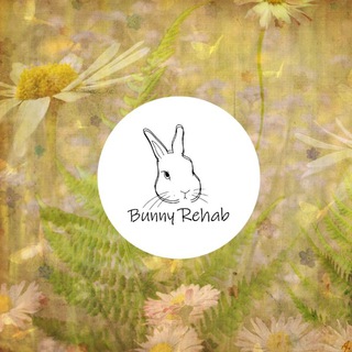 Логотип канала bunny_rehab