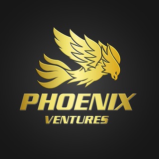 Логотип phoenixventureschannel