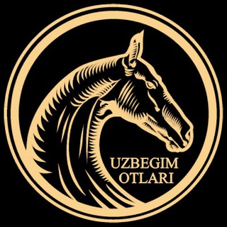 Логотип канала uzbegimotlari