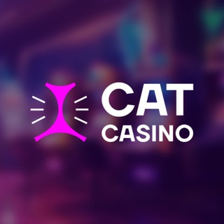 Логотип канала official_catcasino