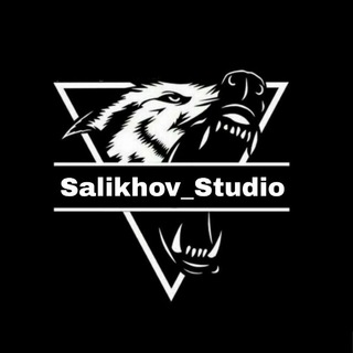 Логотип канала salikhov_studio