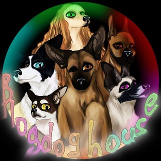 Логотип канала blog_dog_house