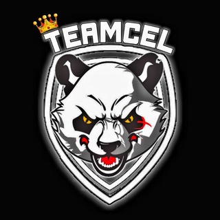 Логотип teamcel