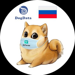 Логотип канала dogdata_russia