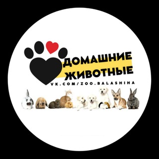 Логотип канала zoo_moscow