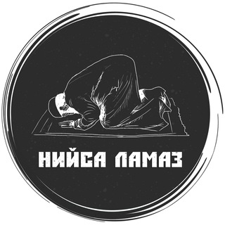 Логотип канала niysa_lamaz
