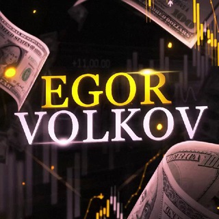 Логотип VolkovVipGroup