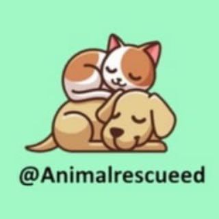 Логотип канала animalrescueedchat