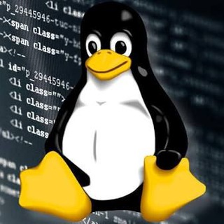 Логотип r_linux