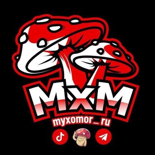 Логотип myxomor_ru