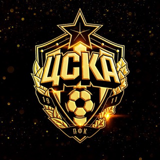 Логотип канала wfc_cska