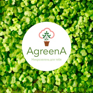 Логотип канала agreenaru