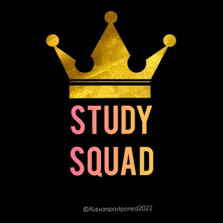 Логотип канала study_squad_official