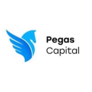 Логотип pegascapitalnews