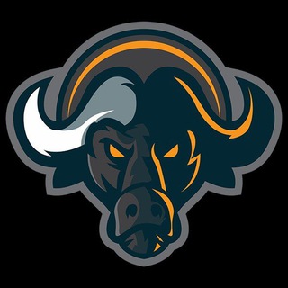 Логотип канала buffaloswapnews