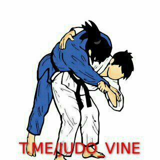 Логотип judo_vine