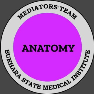 Логотип anatomy_mediators