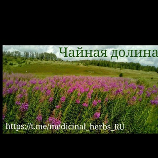 Логотип канала medicinal_herbs_ru