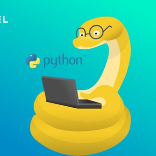 Логотип канала python_scm